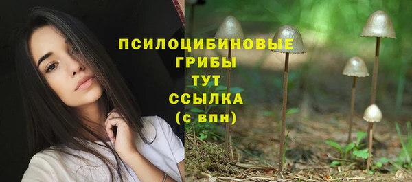 mdpv Мегион