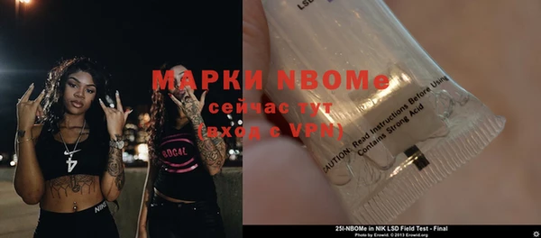 гашик Балахна