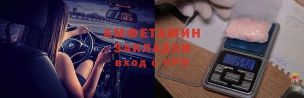 шишки Медногорск