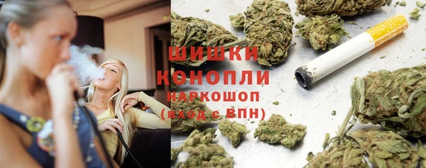 шишки Медногорск