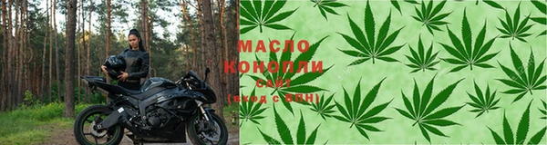 шишки Медногорск