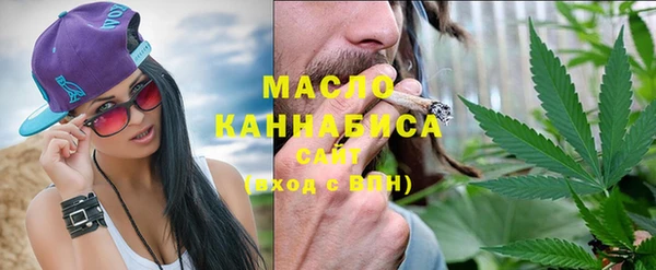 шишки Медногорск