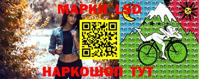 молекула духа Гагарин