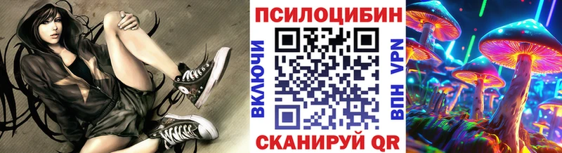 Псилоцибиновые грибы Magic Shrooms Красногорск
