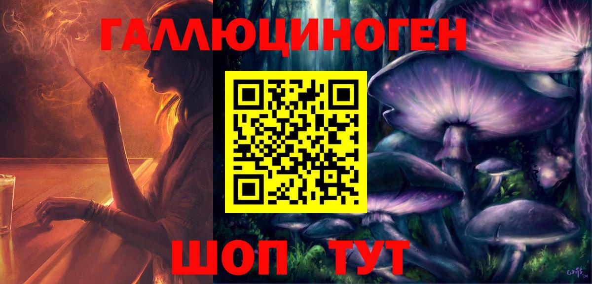 Псилоцибиновые грибы Psilocybe Красногорск